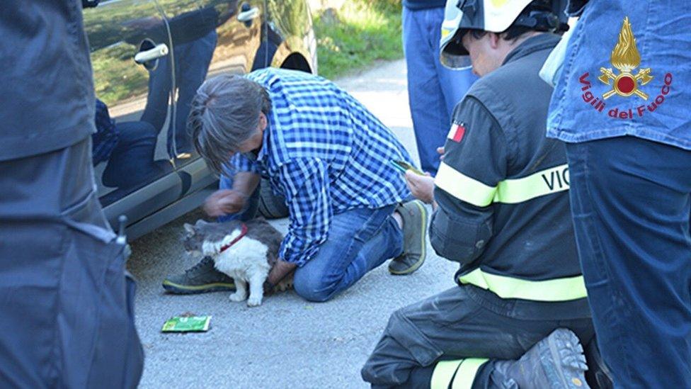 Rescuers with Rocco the cat.