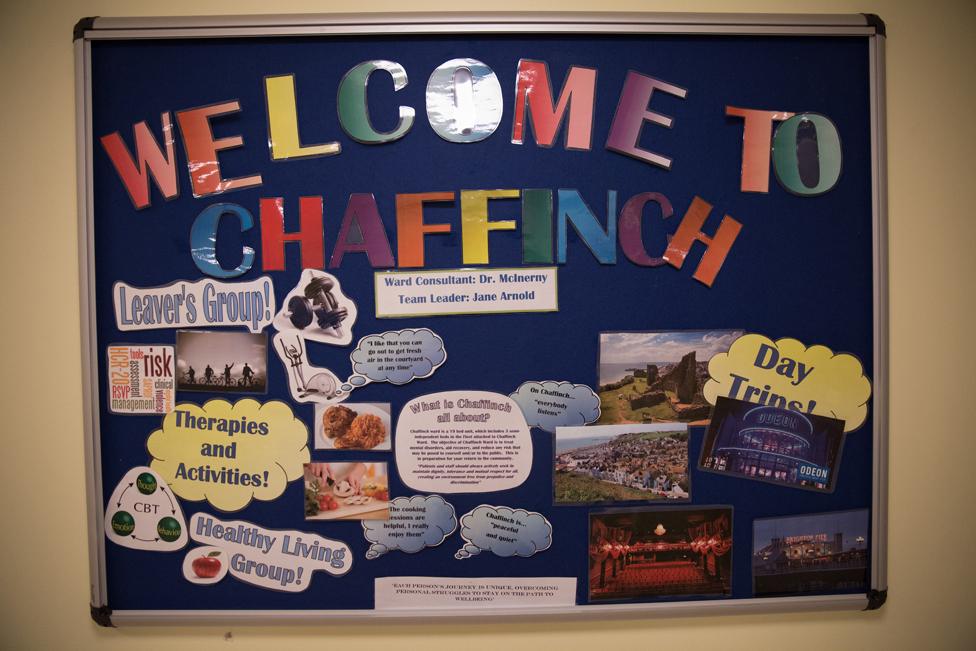 Chaffinch House noticeboard