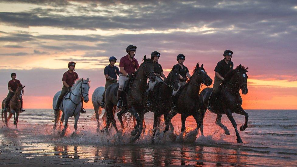 Household Cavalry Mounted Regiment on Holkham beach