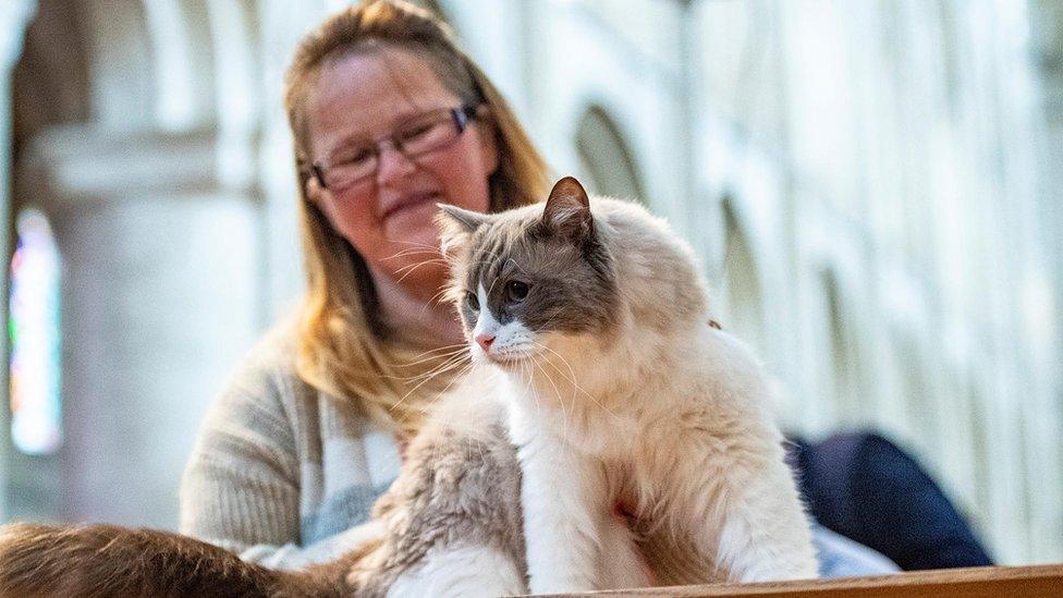 A cat owner with her cat at Ely Cathedral