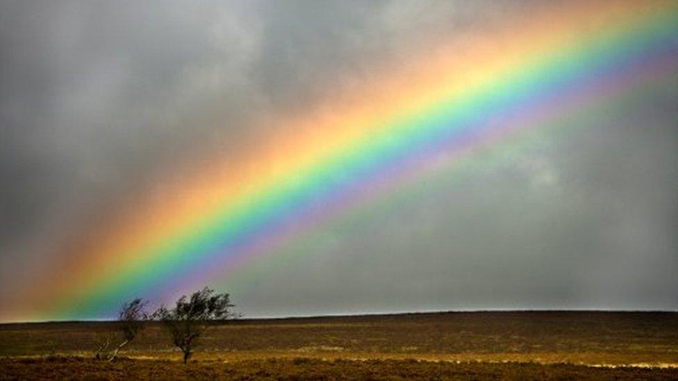 a rainbow over a moor