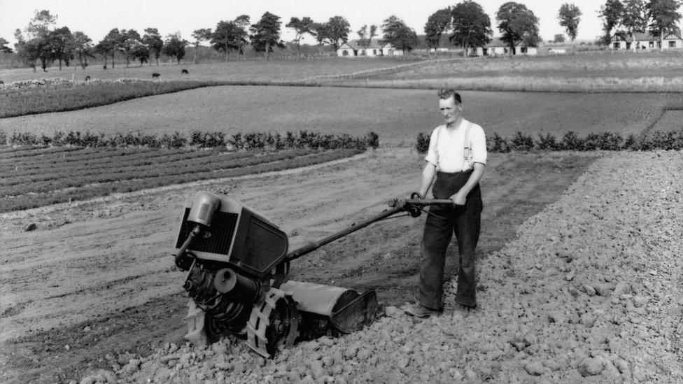 Newton Nursery