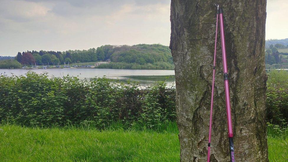 Rod leaned up on tree at reservoir