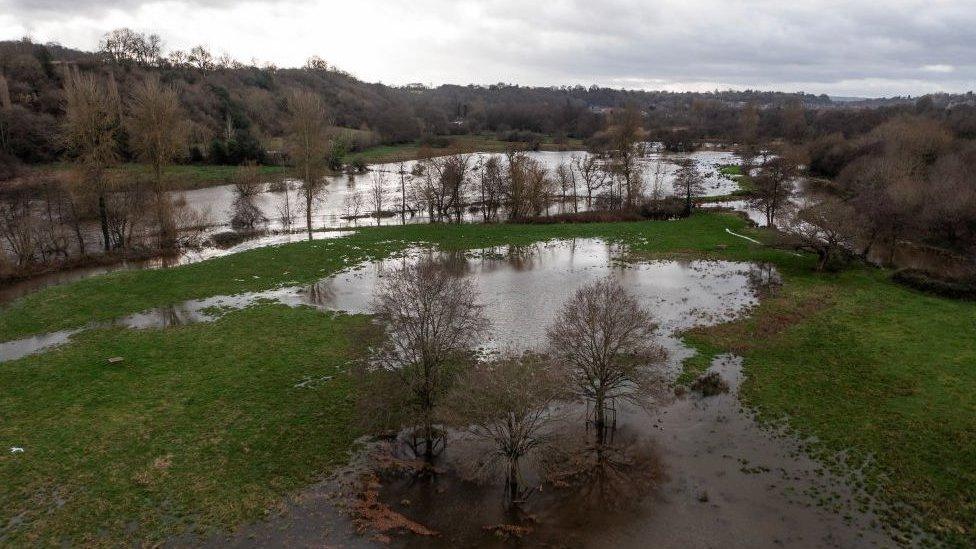 Flooded fields