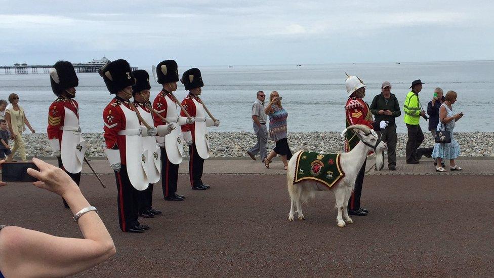 Soldiers from the Royal Welsh with the regimental goat