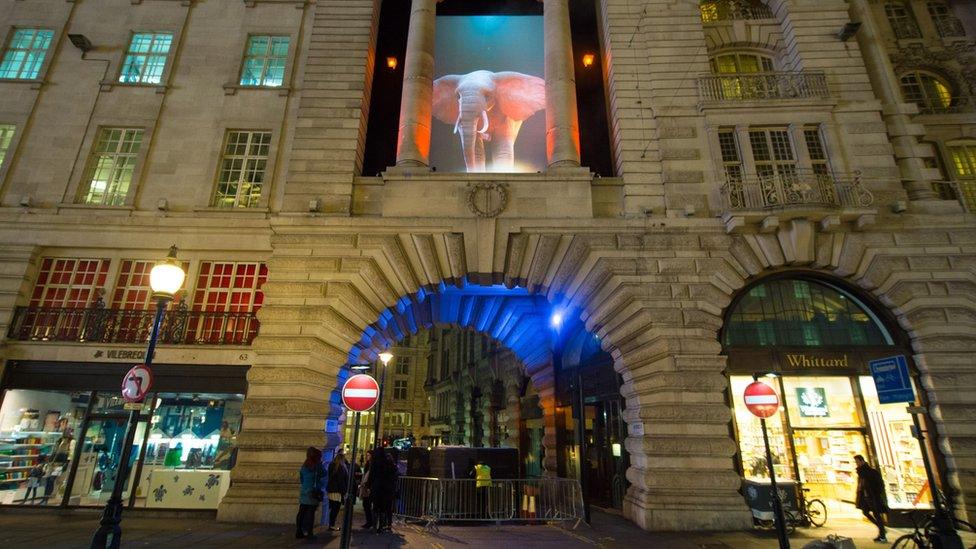 Elephant light installation at Regent Street