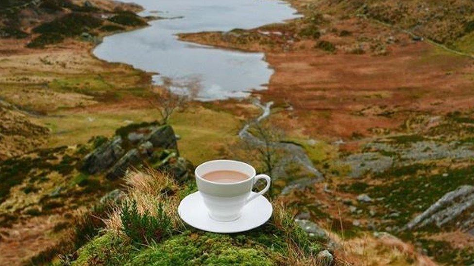 Tea cup on a mountain in Snowdonia