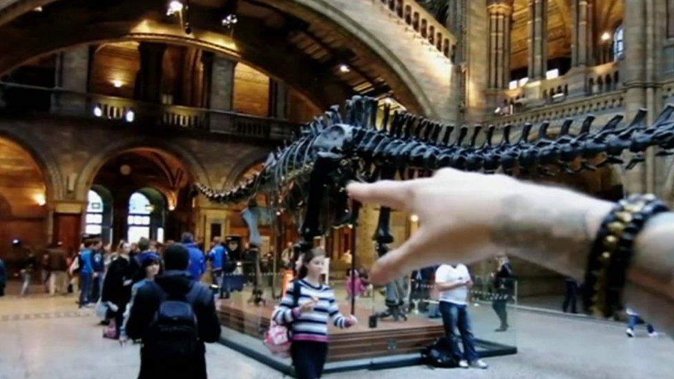 Stefan Michalak's arm inside the Natural History Museum