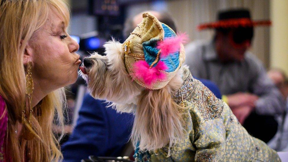 A woman kisses her dog dressed in a sultan costume