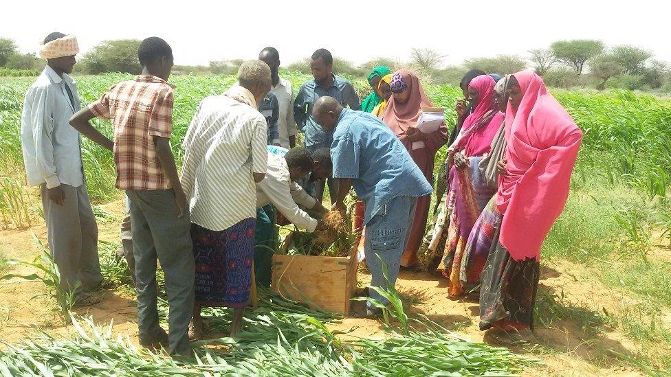 People are taught to share resources as they prepare for longer periods without water