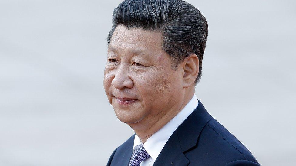 Chinese President Xi Jinping (file image)