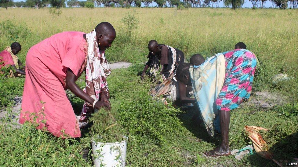 Women from Kaldak collect grass and leaves to eat