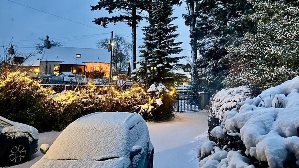 Snow sitting on a car and a hedge.