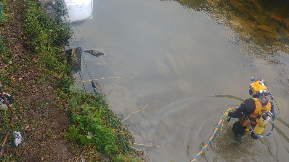 Diver entering the water