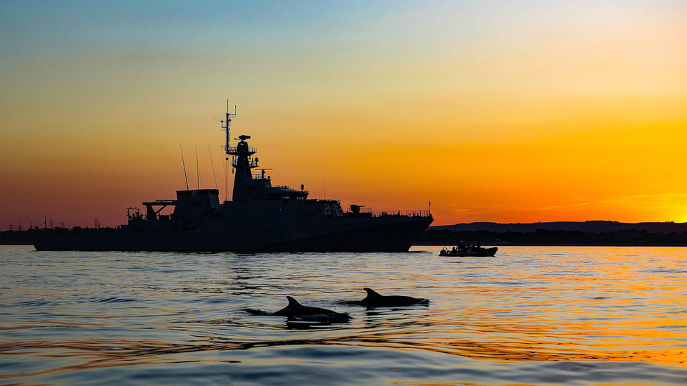 Sunset silhouette of HMS Tamar and dolphins