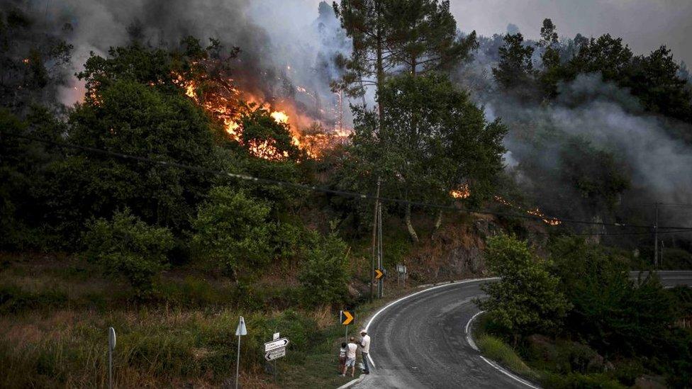 wildfires-in-portugal.