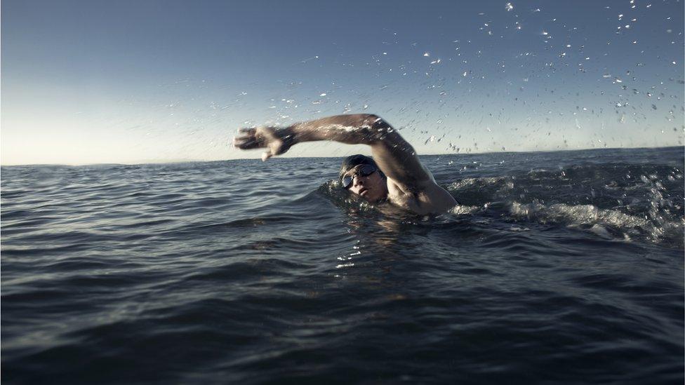 Openwater Swimmer - stock photo