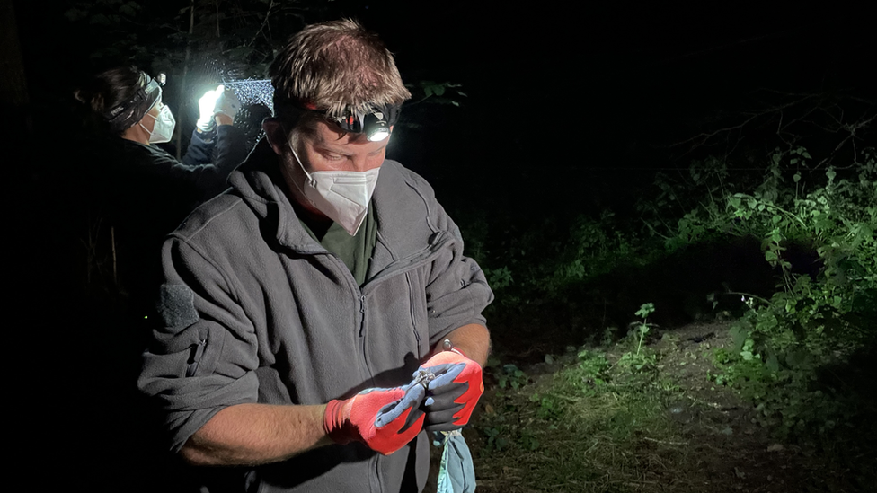 Iain Barr, Professor of field ecology at the UEA