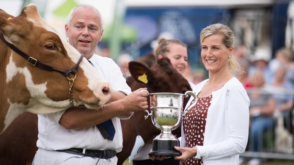 New Forest & Hampshire County Show