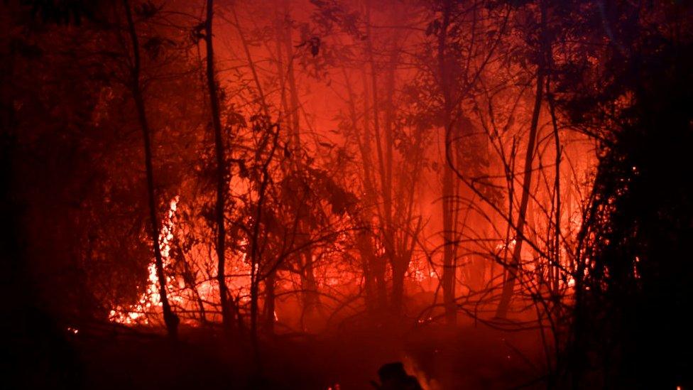 A fire burn in a land next to residence in Pekanbaru, Riau province, on September 13, 2019