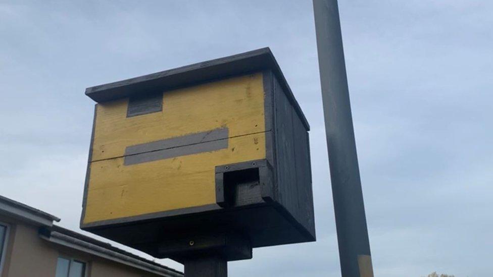 The speed camera bird box