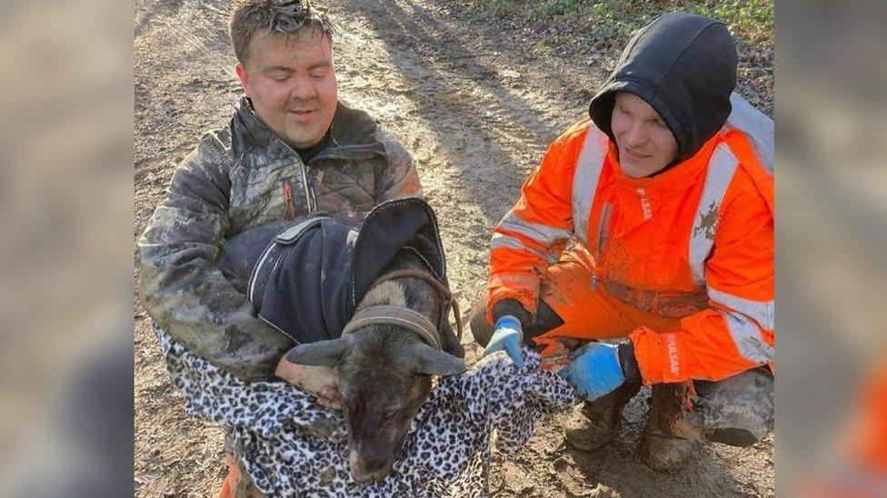 Josh Longford and Brad Bottomley with Martha the dog