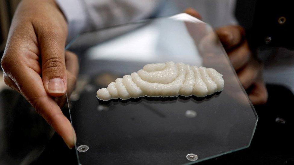 3D-printed-fish-fillet.