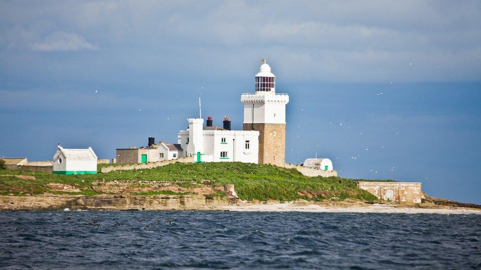 Coquet Island