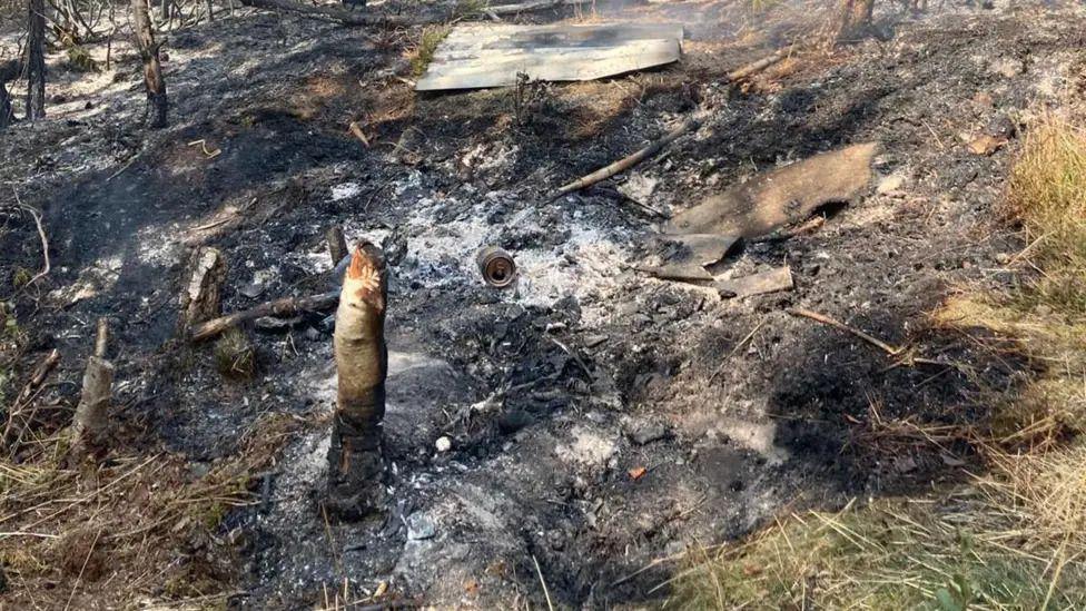 An image of a charred area of woodland after a fire at Blackheath Common in Surrey