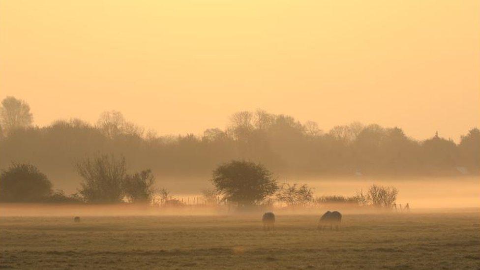 Port Meadow sunrise