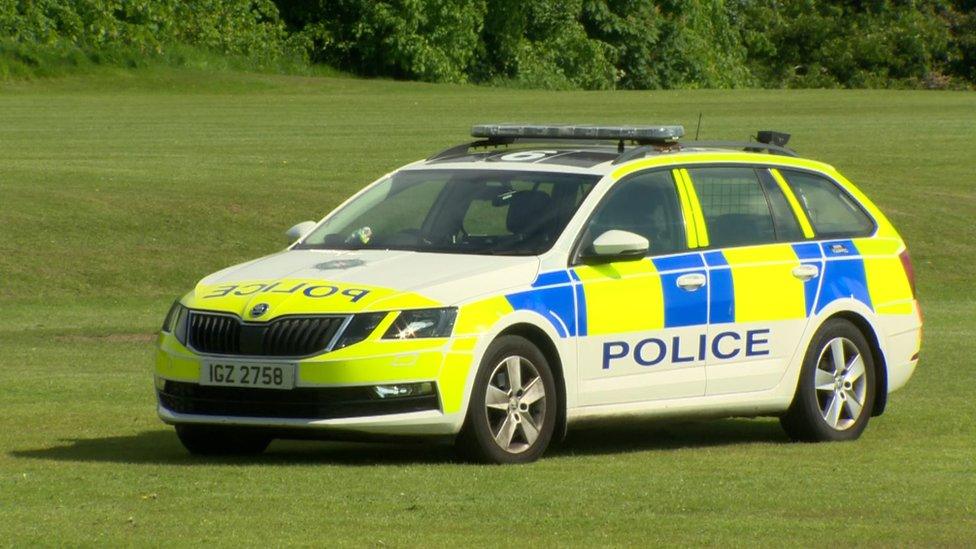 Police car on the grass