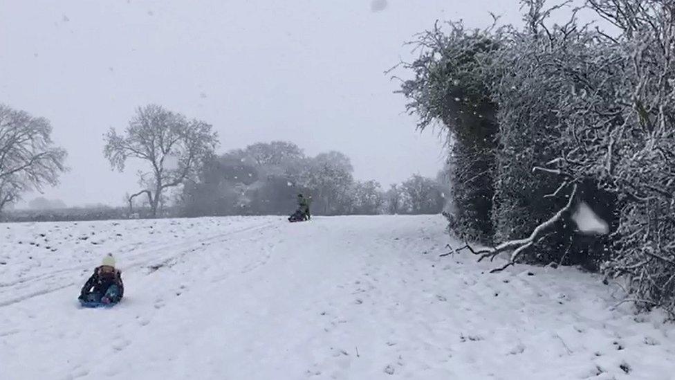 Sledging