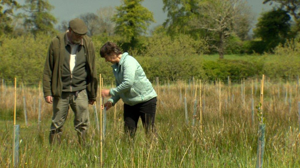 Judy and Michael plant trees