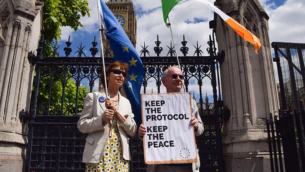 Protesters holding EU and Ireland flags