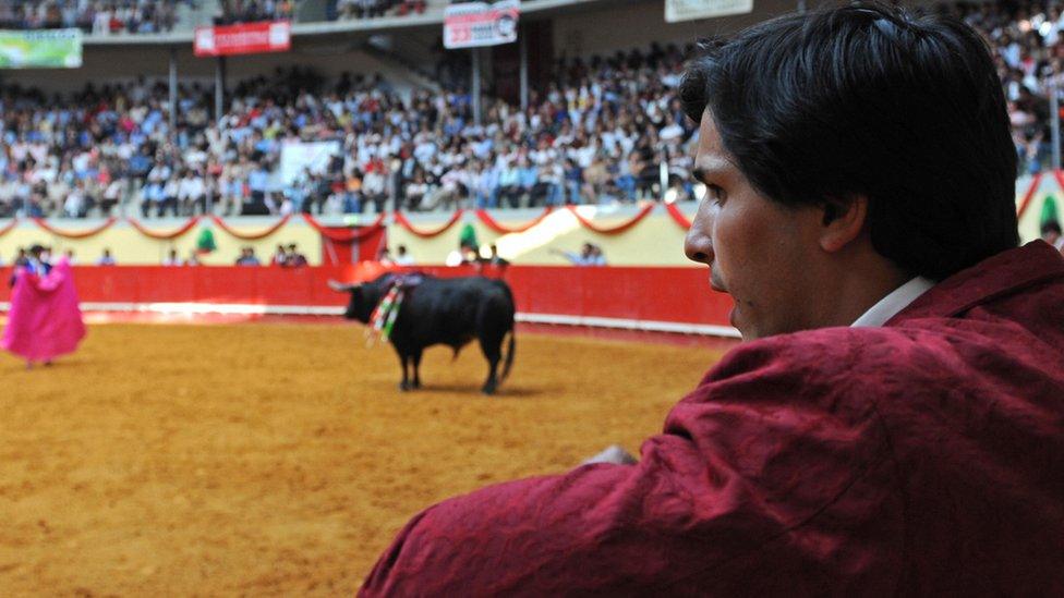 A bullfight in Portugal (file pic)