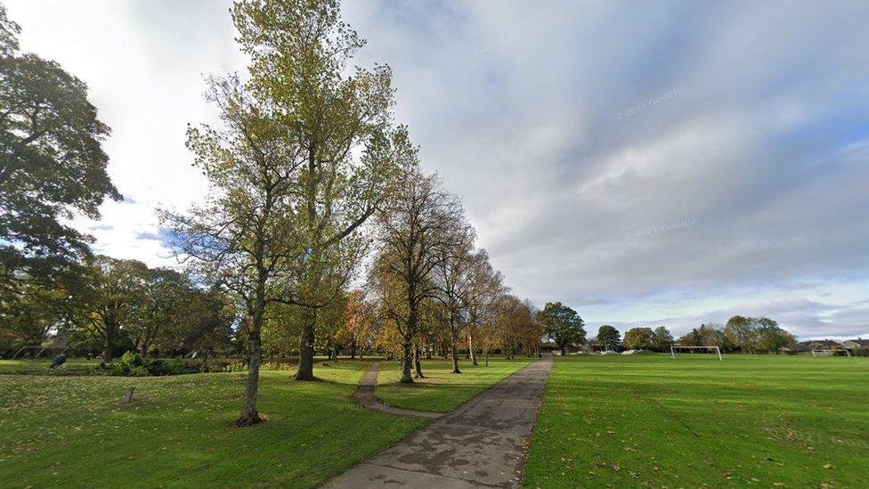 general view of the park showing trees and football pitch