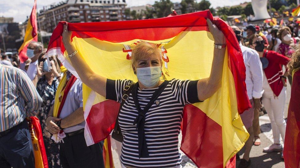 A demonstrator holds a flag