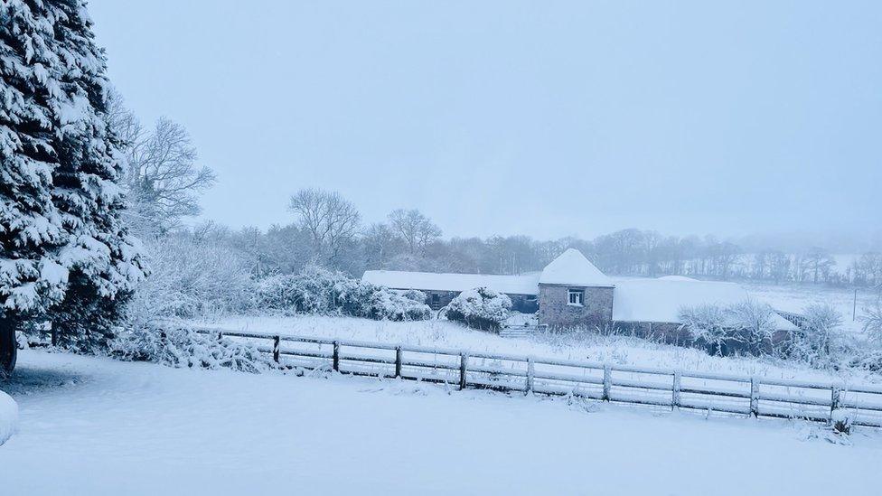 Snow in New Stoke St Michael in Somerset