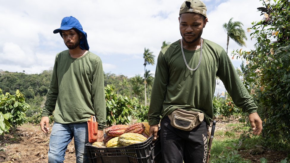 Two men carrying crops