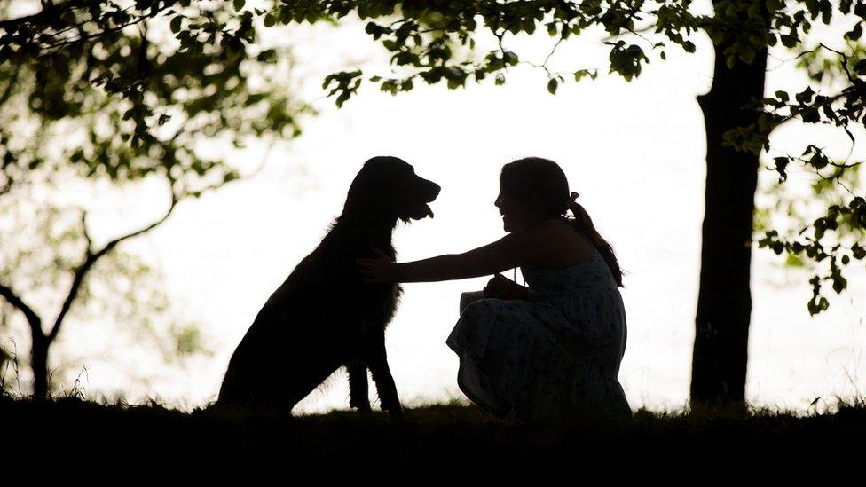 dog with girl