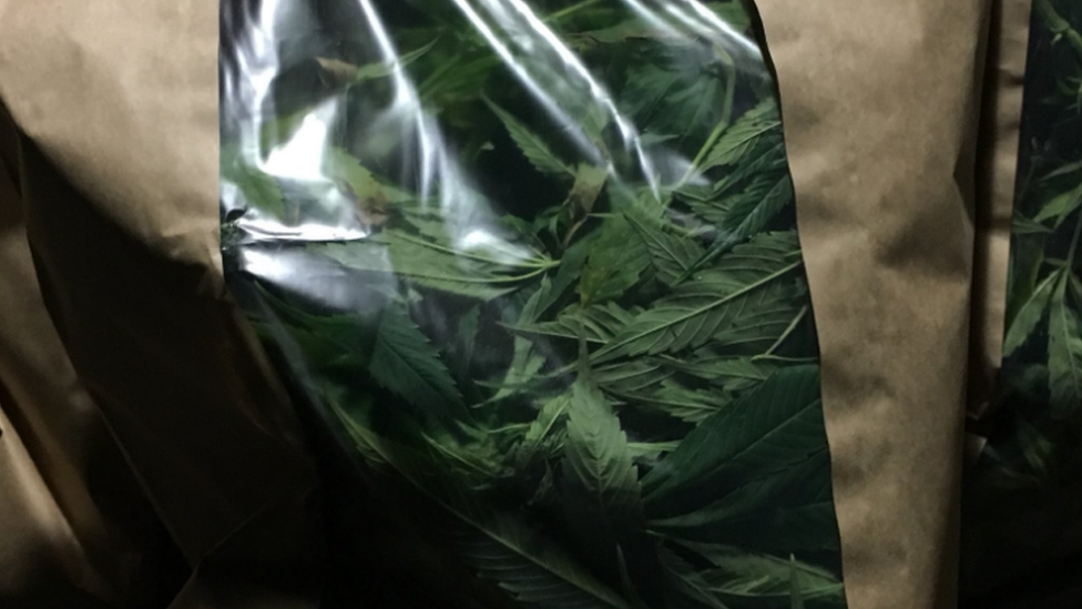 Bags of Cannabis