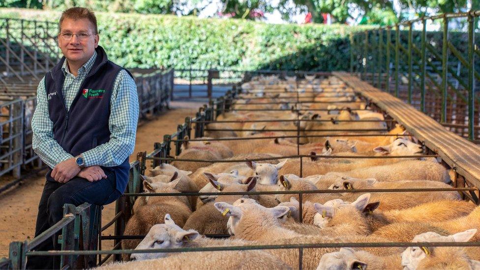 Welsh meat exporter Mike Gooding pictured at Talgarth Market