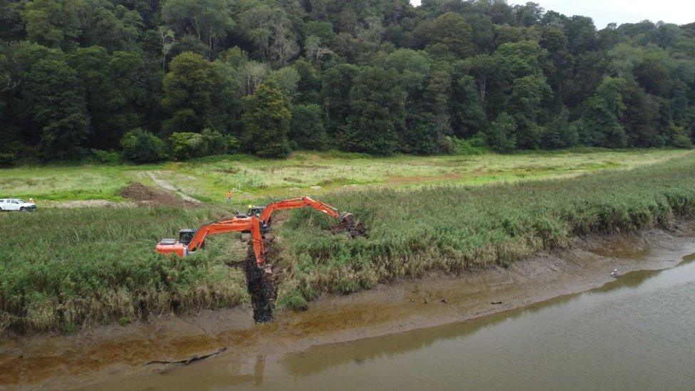 Diggers at site of estuary