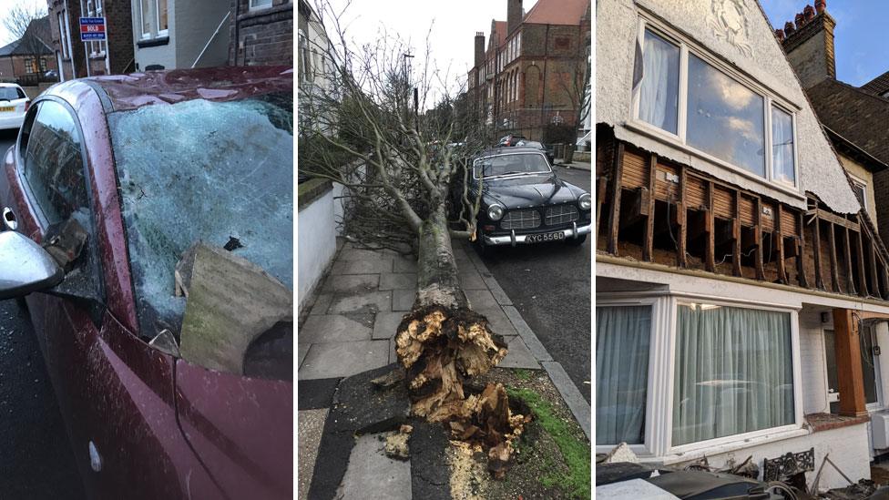 Images showing a smashed car, uprooted tree and damaged house