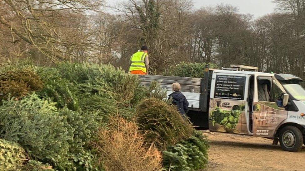 A Christmas tree recycling centre