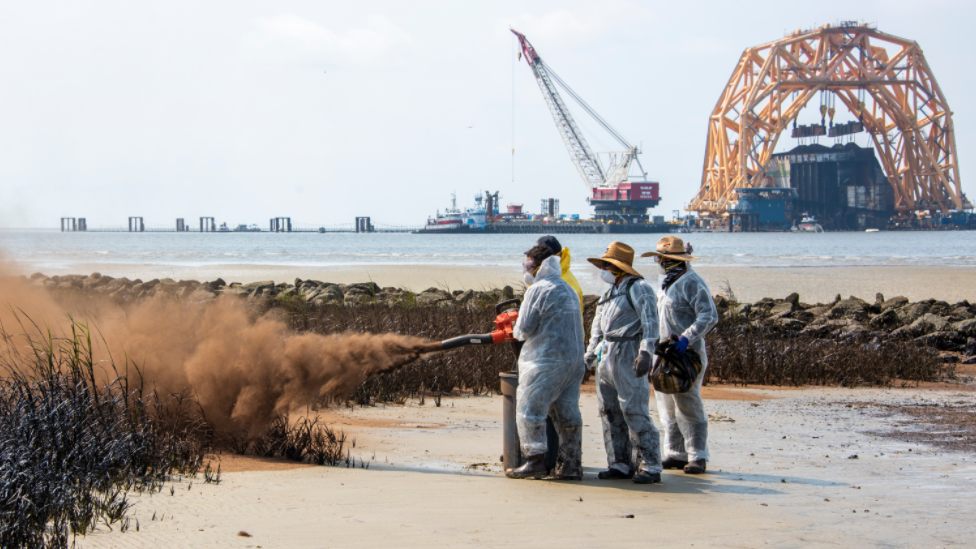 People spraying vegetation near the Golden Ray wreck