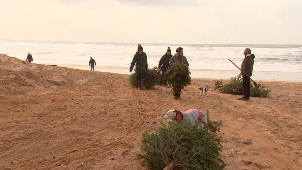 People on the beach with Christmas trees