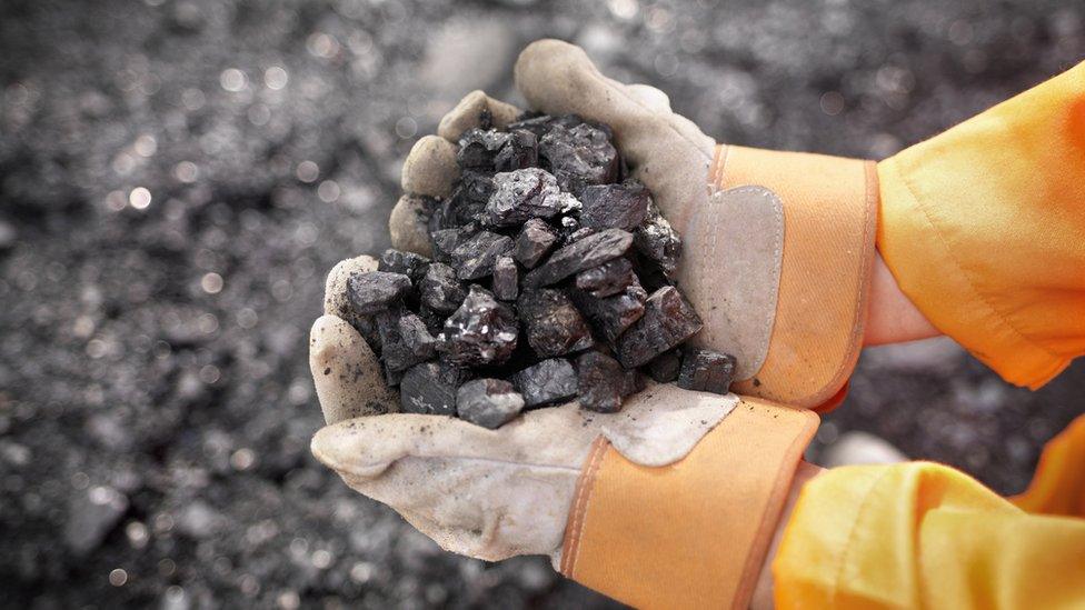 Person wearing gloves holds pieces of coal