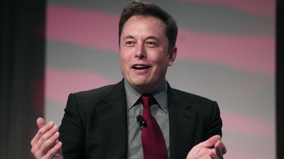 Tesla chief executive Elon Musk