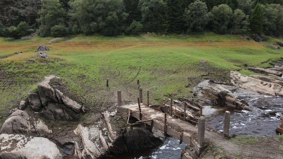 Makeshift bridge over stream